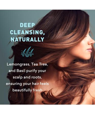 Just Nutritive Oily Hair Shampoo - Control Greasy Residue | Natural Deep Cleanser for All Hair Types | 16 Fl Oz | Ideal for Men & Women - Buy Online on SooperMarket.com