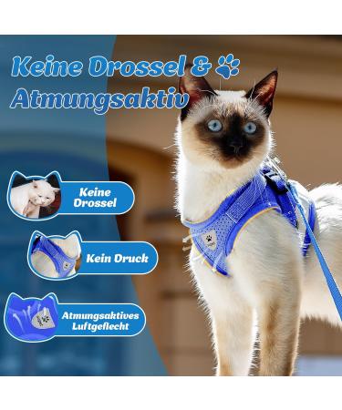 Soft Cat Vest with Leash & Supet Cat Dishes for Kittens & Small Dogs - Blue Size S (26-32 cm) - Ideal for Chihuahua & Pets - Buy Online on SooperMarket.com