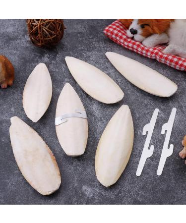 Buy Lorelo 6-Piece Sepia Bowl & Chewing Toys Set for Parrots Turtles & Snails - Includes 3 Metal Holders 11-13cm - International Shipping Available! - Buy Online on SooperMarket.com