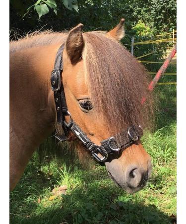 JF-Reitsport Cavesson Pro 2021 - 4-Way Adjustable Soft & Shock-Absorbing Padded for Warmbloods | International Shipping Available - Buy Online on SooperMarket.com