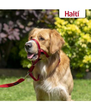 Halti Head Harness for Medium Dogs - No-Pull Leash Solution Adjustable & Comfortable Red Design - Buy Online on SooperMarket.com