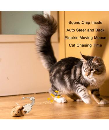 2 Pack Interactive Cat Toys - Feather Squeaky Bird & Mouse Kitten Plush Toys - Motion Activated Melody Chaser - Ideal for Indoor Cats - Three Dogs & A Cat - Buy Online on SooperMarket.com