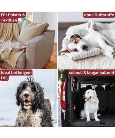 Deodog Odor Neutralizer | Eliminate Stubborn Pet Smells | Safe for Homes Cars & Pets | Cat Urine Dog Urine & Vomit Remover - Buy Online on SooperMarket.com