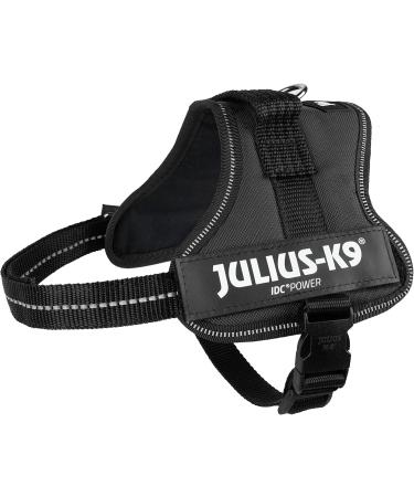 K9 Powerharness XS/Mini-Mini - Black | Premium Pet Harness for Comfort & Safety | International Shipping Available - Buy Online on SooperMarket.com