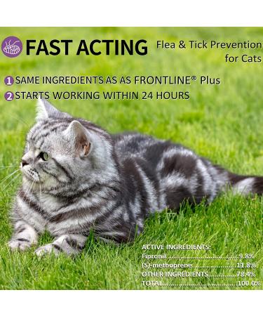 Fipronil Cat Flea & Tick Control - Long-Lasting Treatment for Kittens - 3 Doses - Buy Online on SooperMarket.com