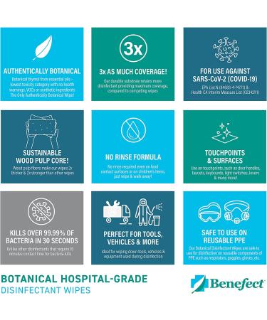 Benefect Botanical Disinfecting Wipes - (250 Wipe Count) Natural  No Residue - Antibacterial Disinfectant  Multi-Surface Cleaning and Sanitizing Wipes 250 Count (Pack of 1) - Buy Online on SooperMarket.com