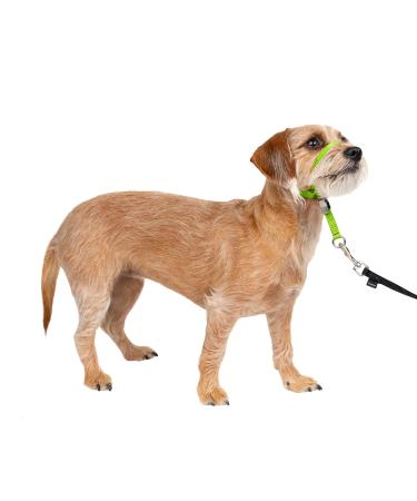 PetSafe Gentle Leader Headcollar No-Pull Dog Collar – Perfect for Leash & Harness Training