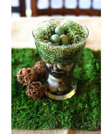 Green Moss Roll for Fairy Gardens, Weddings & Crafts - 10x120cm (4''W x 48''L) - Buy Online on SooperMarket.com