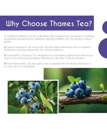 Thames Tea Tubebox - Premium Flavoured Loose Leaf Tea | Luxury British Fruit & Herbal Tea Collection - Buy Online on SooperMarket.com
