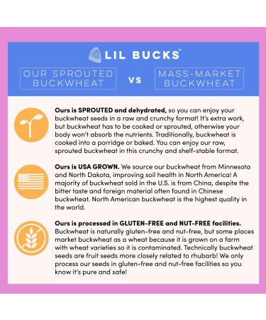 Lil Bucks Paleo Cereal - Sprouted Buckwheat Groats Gluten Free Granola (CACAO) 18 Ounces - 3 Pack - Buy Online on SooperMarket.com