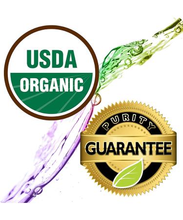 Organic Ginger Essential Oil - Healing Solutions 10ml - 0.33 fl oz - Buy Online on SooperMarket.com