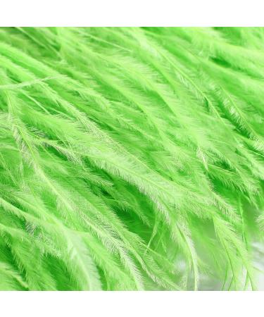 Ostrich Feather Fringe Trim - Grass Green 2 Yards for Sewing Crafts & Costume Decor - Buy Online on SooperMarket.com