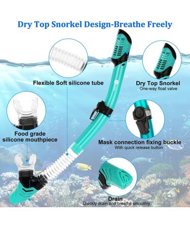 JARDIN Dry Snorkel Set | Panoramic View Anti-Fog Diving Mask | Free Breathing & Adjustable Strap | Professional Snorkeling Gear for Adults | Teal - Buy Online on SooperMarket.com