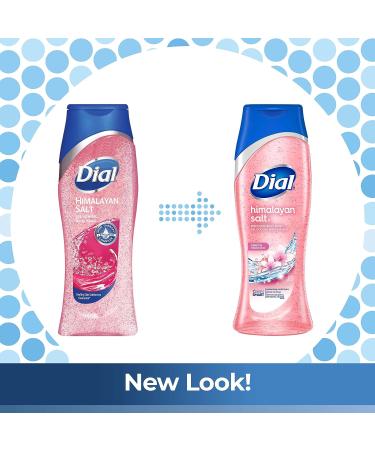Dial Skin Therapy Body Wash Himalayan Salt 21 fl oz - Pack of 4 | 4 Count - Best for Refreshing Skin - Buy Online on SooperMarket.com
