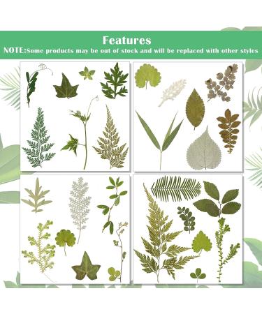 TimTin 84 Pieces Dried Leaves and Flowers Resin Craft Kit - Assorted Greenery for DIY Handmade Bookmarks - Vivid Style - Buy Online on SooperMarket.com