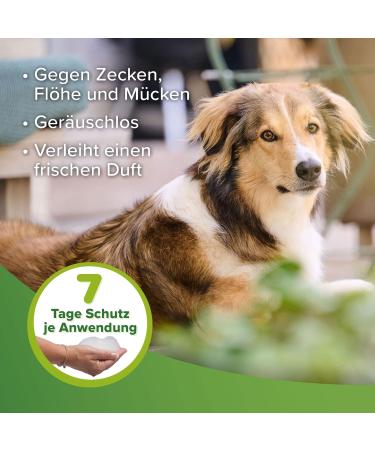 Beaphar Tick & Flea Protection Shampoo for Dogs & Cats - 250ml | 7 Days Repellent for Healthy Fur & Fresh Fragrance - International Shipping Available - Buy Online on SooperMarket.com