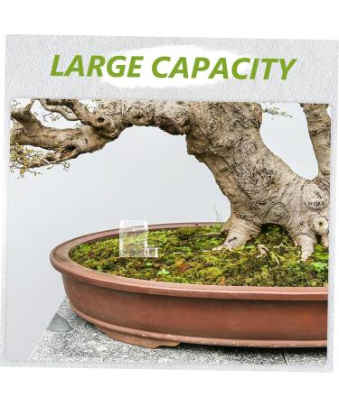 BCOATH 5pcs Pet Water Feeder Ants Habitat Water Feeding Insect Water Feeder Ants Watering Cup Plastic - Buy Online on SooperMarket.com