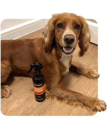 Animology Dirty Dawg Pup No-Rinse Shampoo Dog Spray 250ml - Buy Online on SooperMarket.com