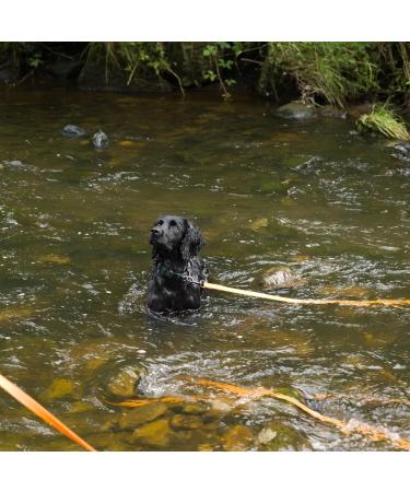 Waterproof Long Line Dog Training Lead - 20m, Suitable for all Sized Dogs - Buy Online on SooperMarket.com