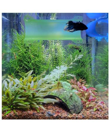 SeeShelter Brand Betta Tunnel Translucent Light Green