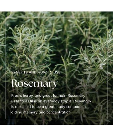 Nikura Rosemary Essential Oil 10ml - 100% Pure for Hair Growth | Aromatherapy Diffuser | Vegan Friendly - Buy Online on SooperMarket.com