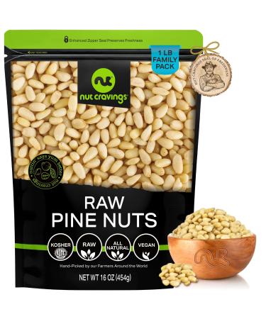 Raw Pine Nuts Pignolias Unsalted Shelled Superior to Organic (16oz - 1 LB) Bulk Nuts Packed Fresh in Resealable Bag - Healthy Protein Food Snack All Natural Keto Friendly Vegan Kosher 1 Pound (Pack of 1)