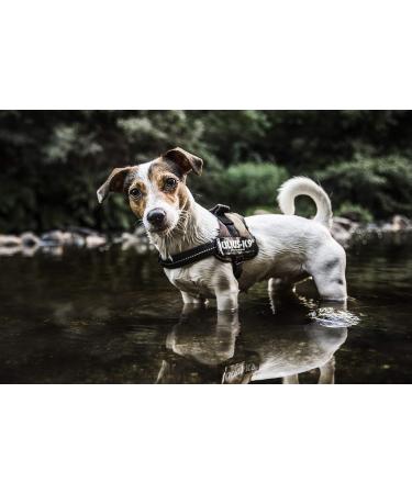 Buy K9 Powergeschirr Size M/0 - Camouflage Dog Harness for Optimal Comfort | International Shipping Available - Buy Online on SooperMarket.com