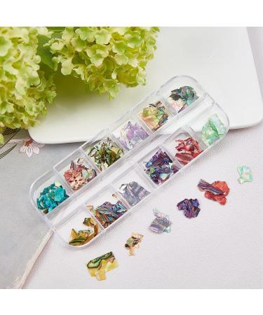 NICENEEDED 12 Colors Abalone Seashell Nail Art Flakes - Style 2 - Buy Online on SooperMarket.com
