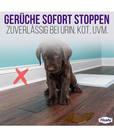 Filzada Animal Odor Remover | Professional Enzyme Cleaner for Cat Odors & Animal Smells - Fast & Effective Solution - Buy Online on SooperMarket.com