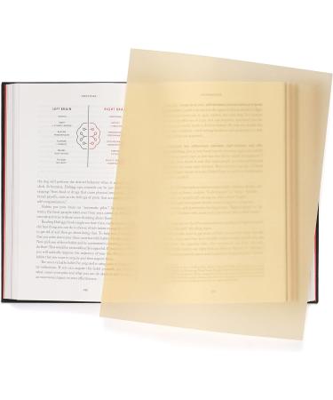 Quotidian Pale Gold Vellum Paper Sheets 8.5x11 inch 100gsm - Pack of 50 | Translucent Printable Tracing Paper for Sketching and Drawing - Buy Online on SooperMarket.com