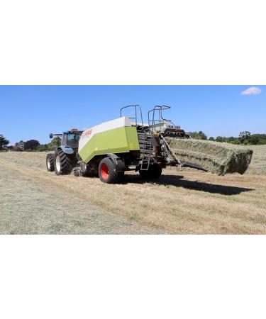 Pillow Wad Meadow Hay 1kg: Premium Quality Hay for Small Animals - Buy Online on SooperMarket.com