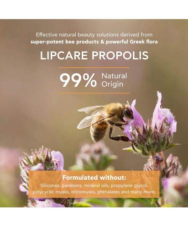 Apivita Lipcare Propolis 4.4 g - Buy Online on SooperMarket.com