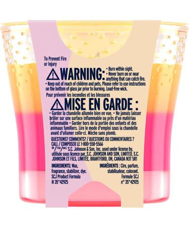 Glade 2in1 Scented Candle Coastal Sunshine Citrus + Exotic Tropical Blossoms Air Freshener Infused with Essential Oils for Home Fragrance 1 Count Coastal Sunshine Citrus & Exotic Tropical Blossoms - Buy Online on SooperMarket.com