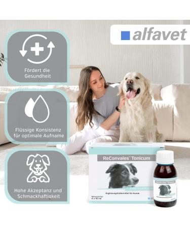 Alfavet Reconvales Tonicum for Dogs | Appetizing Supplementary Feed for Convalescence & Weight Gain | 6 x 90 ml Bottles - International Shipping Available - Buy Online on SooperMarket.com
