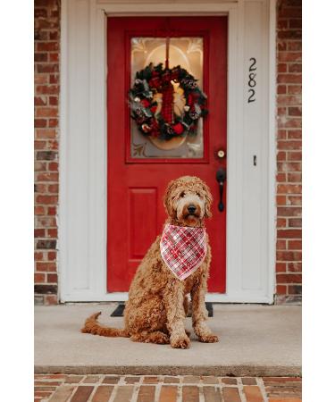 Lionheart Glory Dog Halter Adjustable Cotton Christmas Neckerchief for Large Dogs | Red Dog Kerchief | 1 Pack - Buy Online on SooperMarket.com