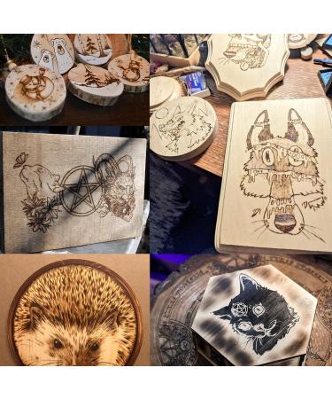 Professional 60W Wood Burning Kit with 24 Wire Nibs - Ideal for Pyrography on Wood, Leather, and More - Buy Online on SooperMarket.com