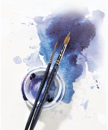 Winsor & Newton Professional Watercolor Sable Brush-Round #00 - High-Quality Watercolor Brush - Buy Online on SooperMarket.com