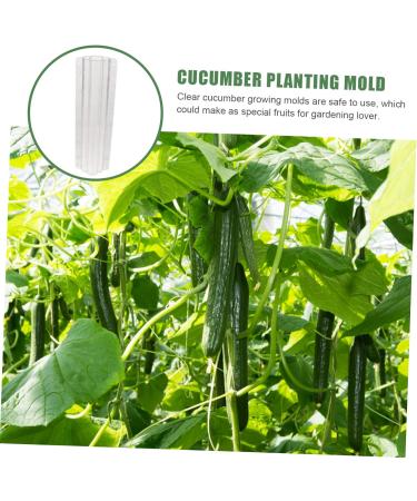 CIYODO 2pcs Vegetable Shaping Mold Cucumbers Cucumber Growing Mould Vegetable Growing Mold Accessories - Buy Online on SooperMarket.com