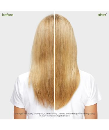 Biolage Strength Recovery Leave-In Conditioner Spray - Repairing Heat Protectant & Detangler Strengthens & Prevents Damage For Damaged & Sensitized Hair 1 Fl Oz (Pack of 1) - Buy Online on SooperMarket.com