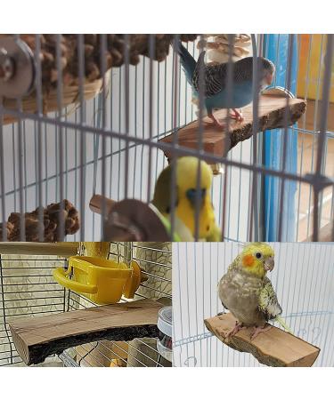 Tfwadmx Parrot Perch 2 Pack - Natural Wood Bird Stand for Cage | Playground Accessories for Parakeet, Cockatiel, Lovebird, Finches, Conure, Budgie - Buy Online on SooperMarket.com