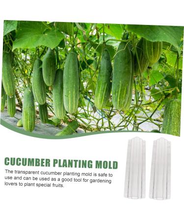 Happyyami 4 Pcs Vegetable Shaping Mold Fruit Cucumbers Mold Shaping Vegetable Forming Mould Mushroom Modeling - Buy Online on SooperMarket.com