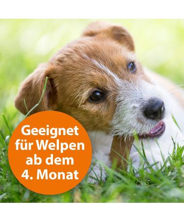 ARDAP Tick & Flea Protection Collar for Dogs 10-25kg | 4-Month Natural Defense | Sustainable 60cm Collar - Buy Online on SooperMarket.com