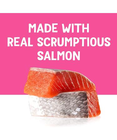 Friskies Cat Treats 1.55 oz Pouches Salmon (16 Pack) - Tasty Treats for Your Feline Friend - Buy Online on SooperMarket.com