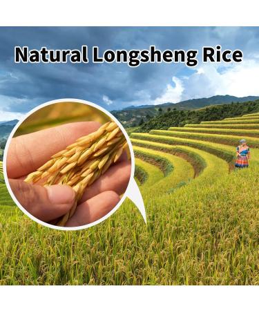 Rice Shampoo Bar & Conditioner Set | Natural Hair Growth & Strengthening | Paraben & Sulfate Free | Rice Water Infused | 2pc for Thinning Hair - Buy Online on SooperMarket.com