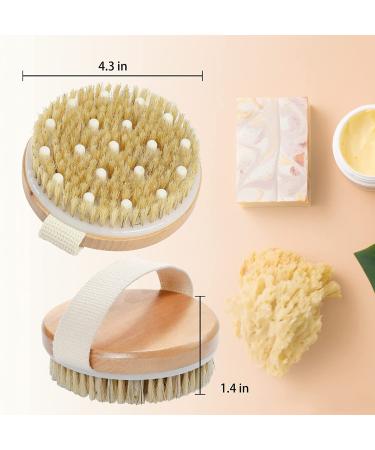 2 Pack Natural Soft and Hard Boar Bristle Body Brushes for Exfoliating and Cleansing - Round Massage Bath Brushes for Whole Body, Promotes Blood Circulation - Buy Online on SooperMarket.com