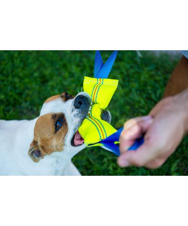 Buy Bull Fit Dog Toy - 30 cm Robust Fire Hose K9 Training & Tug-of-War - Handmade & Durable - Buy Online on SooperMarket.com