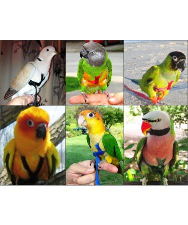 Buy Aviator Bird Harness X-Small Black - Ultimate Comfort & Safety for Your Pet Bird | International Shipping Available - Buy Online on SooperMarket.com