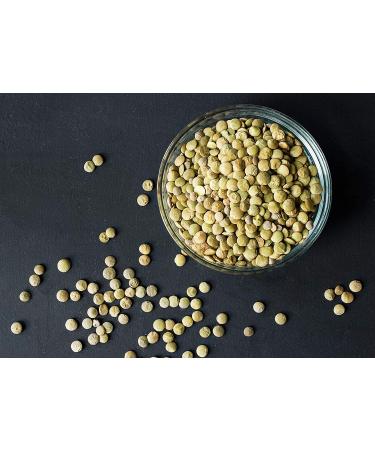 Organic Whole Green Lentils 10 lbs - Non-GMO Raw Beans, Vegan & Kosher - High in Folate, Fiber & Protein - No Soaking Required - Ideal for Soups & Veggie Burgers - Buy Online on SooperMarket.com