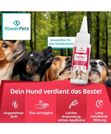 Powerpets Spot-On Tick Protection for Dogs - 100% Natural Effective Against Ticks Fleas & Parasites Includes Free Flea Comb | Seasonal Drops for Dogs - Buy Online on SooperMarket.com