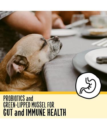 Premium Senior Dog Food for Dogs 7+ Years | Nutritious & Easy to Digest - Buy Online on SooperMarket.com